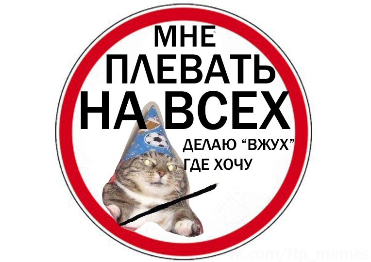 Фотография: Вжух, и вы смотрите подборку картинок про кота-волшебника №11 - BigPicture.ru