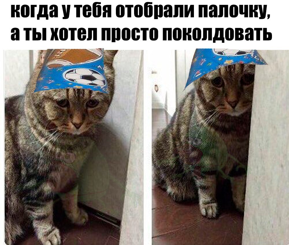 Фотография: Вжух, и вы смотрите подборку картинок про кота-волшебника №28 - BigPicture.ru