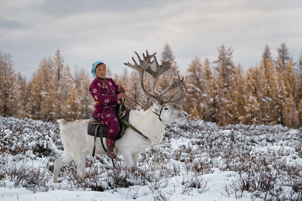 Фотография: Один день из жизни монгольской семьи оленеводов №12 - BigPicture.ru