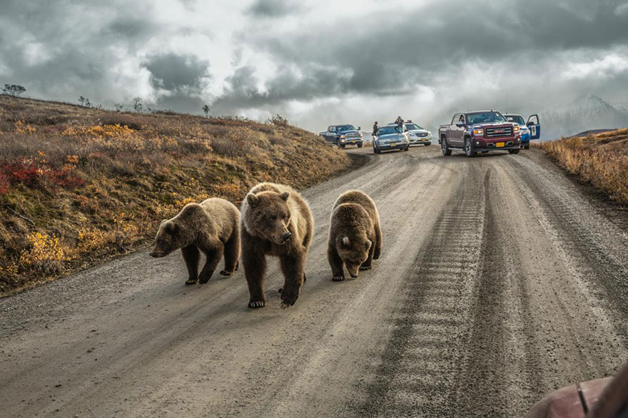 Фотография: 52 лучшие фотографии года по версии National Geographic №25 - BigPicture.ru