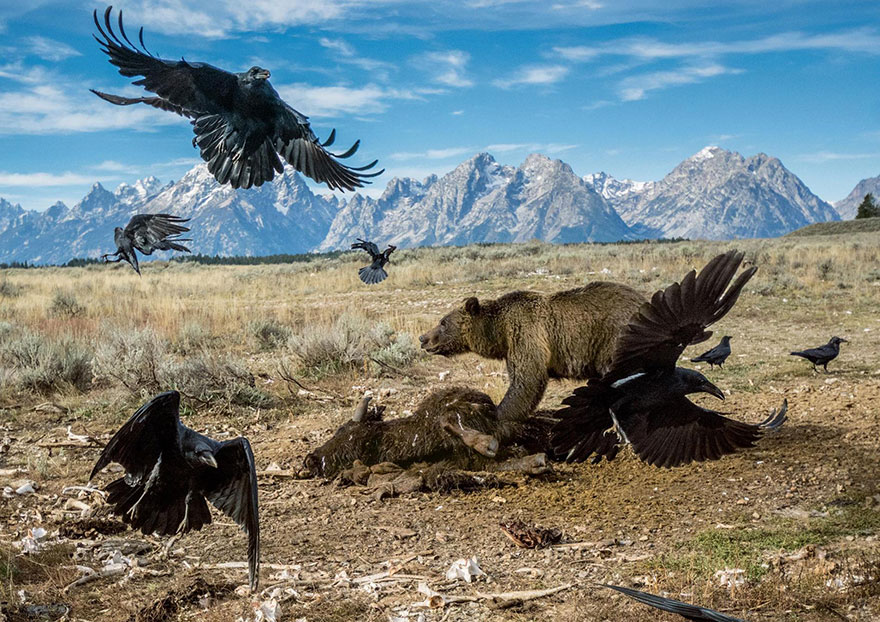 Фотография: 52 лучшие фотографии года по версии National Geographic №9 - BigPicture.ru