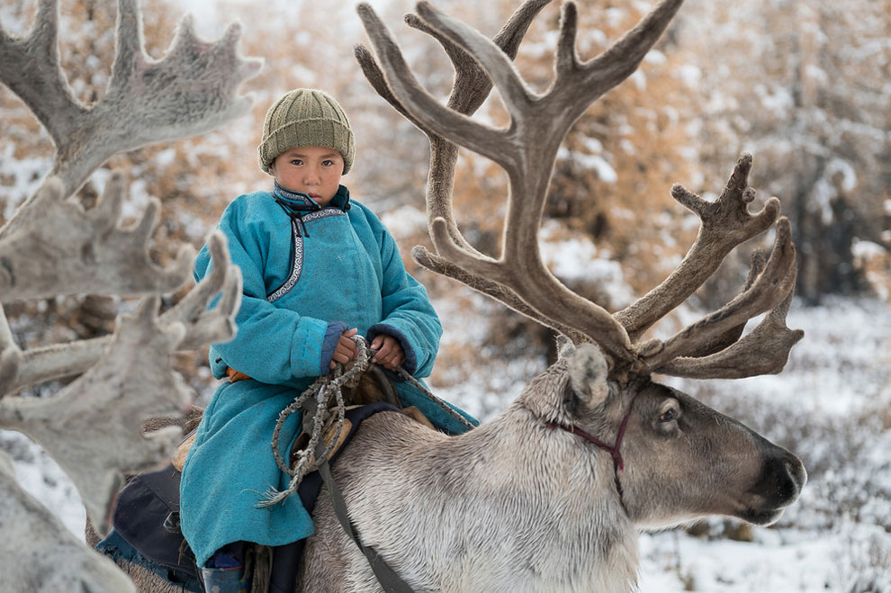 Фотография: Один день из жизни монгольской семьи оленеводов №14 - BigPicture.ru