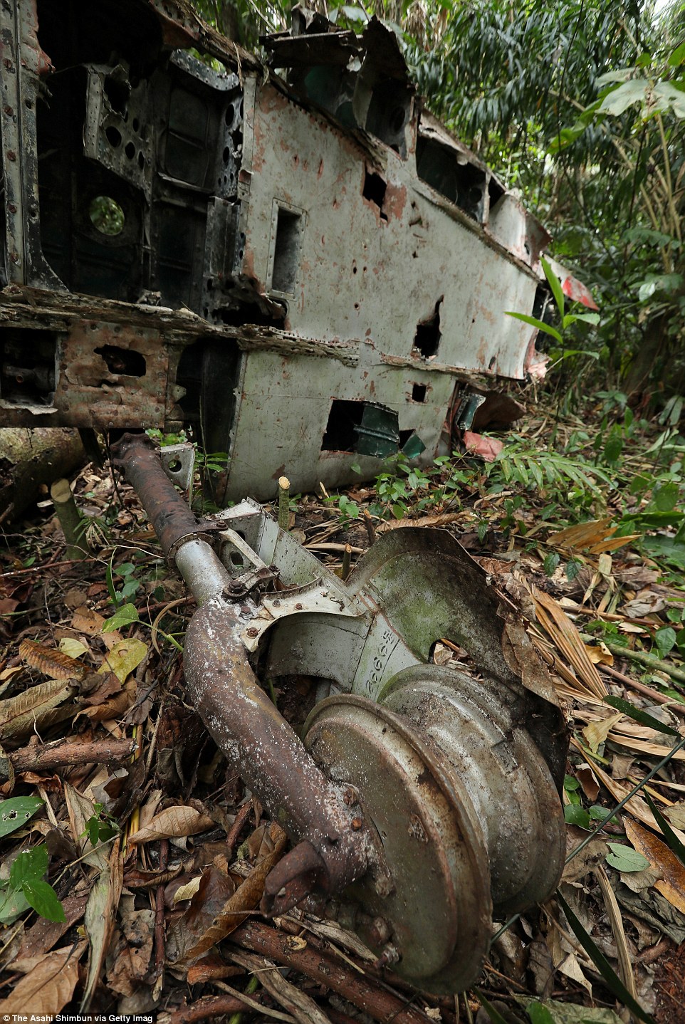 Фотография: Боевые машины Второй мировой, затерянные на далеких островах в Тихом океане №15 - BigPicture.ru