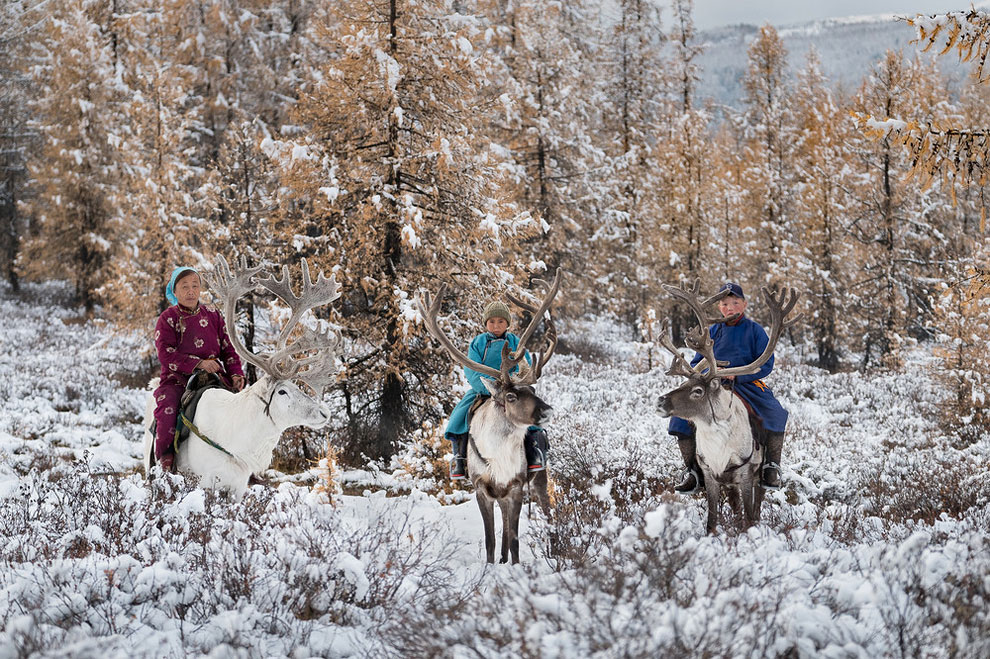 Фотография: Один день из жизни монгольской семьи оленеводов №15 - BigPicture.ru