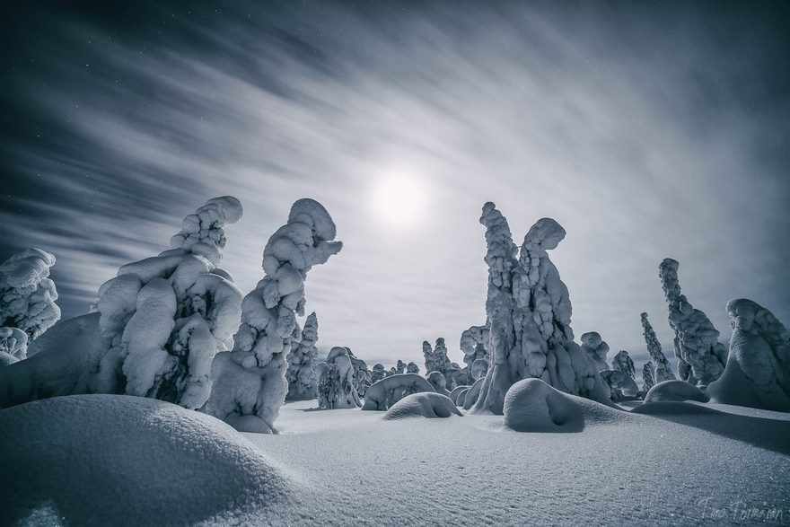 Лапландия - самое волшебное место, чтобы праздновать Новый год