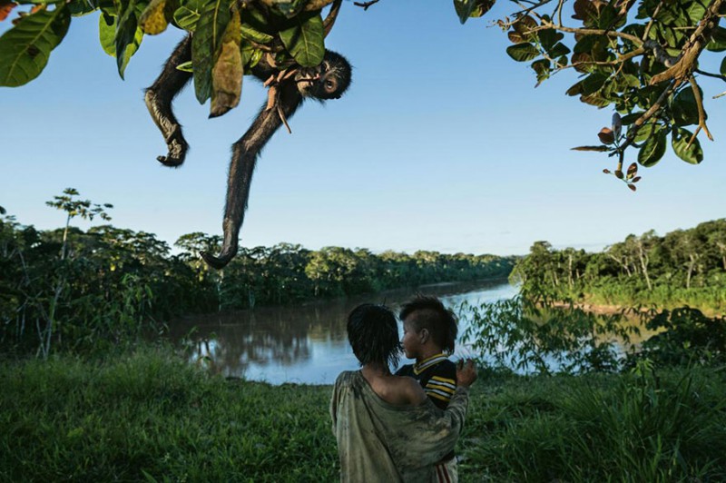 National geographic самые удивительные фотографии