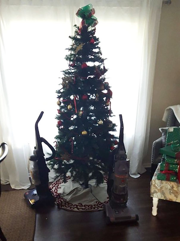 Фотография: Как защитить новогоднюю елку от вредных и дерзких домашних животных №3 - BigPicture.ru