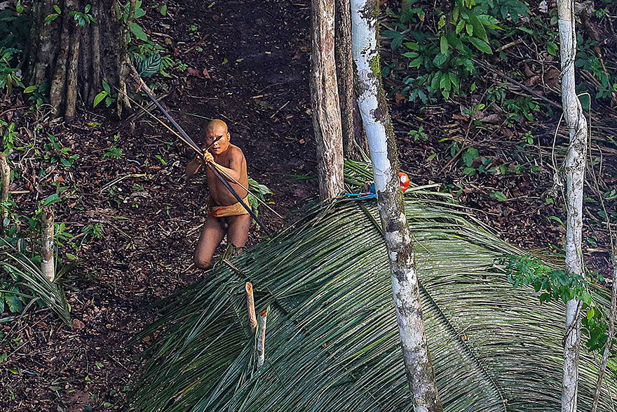 Фотография: Бразильскому фотографу удалось подобраться как никогда близко к абсолютно дикому племени в лесах Амазонии №3 - BigPicture.ru