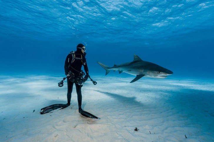 National geographic самые удивительные фотографии