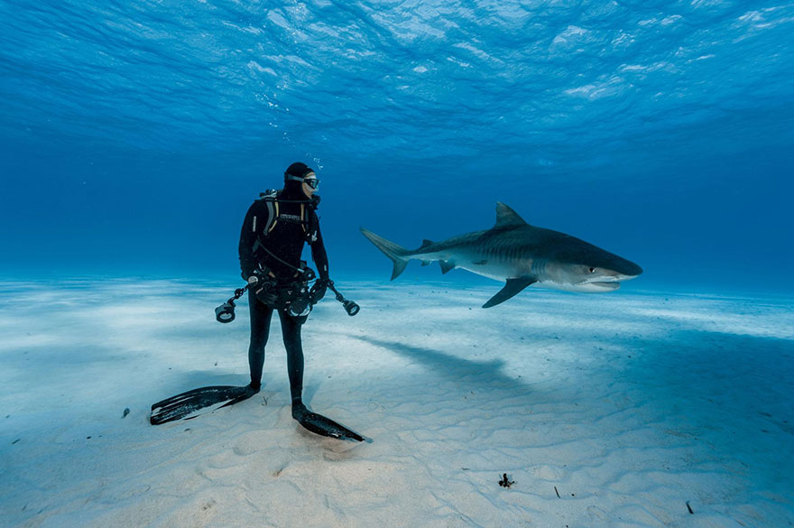 Фотография: 52 лучшие фотографии года по версии National Geographic №3 - BigPicture.ru