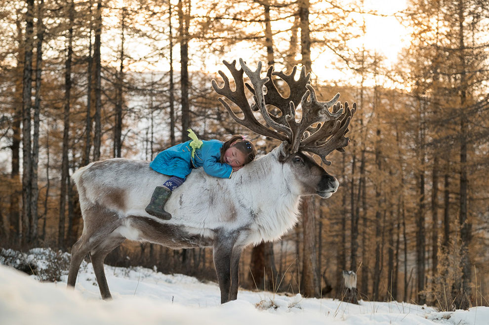 Фотография: Один день из жизни монгольской семьи оленеводов №1 - BigPicture.ru