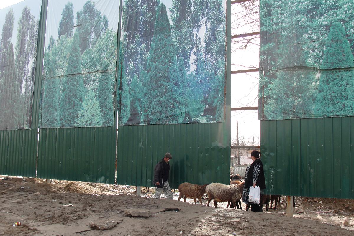 Фотография: Обломки империи: старый Ташкент на грани разрушения №4 - BigPicture.ru
