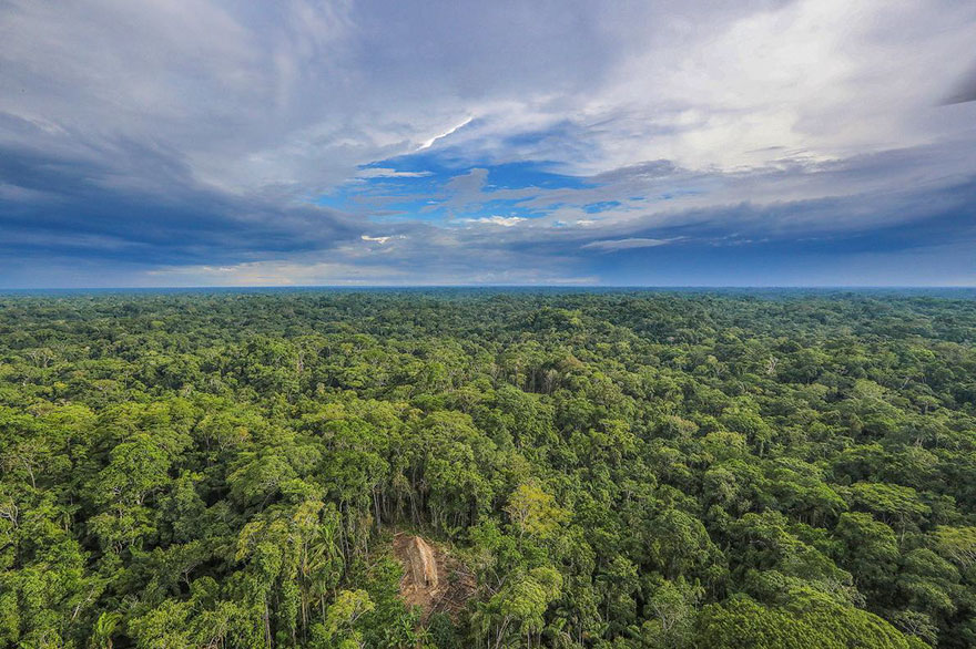 Фотография: Бразильскому фотографу удалось подобраться как никогда близко к абсолютно дикому племени в лесах Амазонии №4 - BigPicture.ru