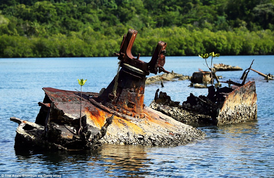 Фотография: Боевые машины Второй мировой, затерянные на далеких островах в Тихом океане №4 - BigPicture.ru