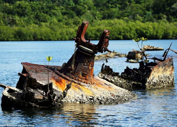 Боевые машины Второй мировой, затерянные на далеких островах в Тихом океане