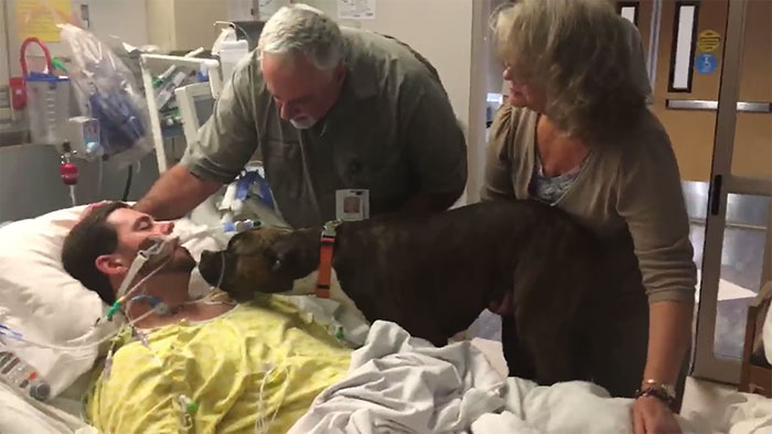 Фотография: Собаке разрешили прийти в больницу сказать умирающему хозяину последнее 