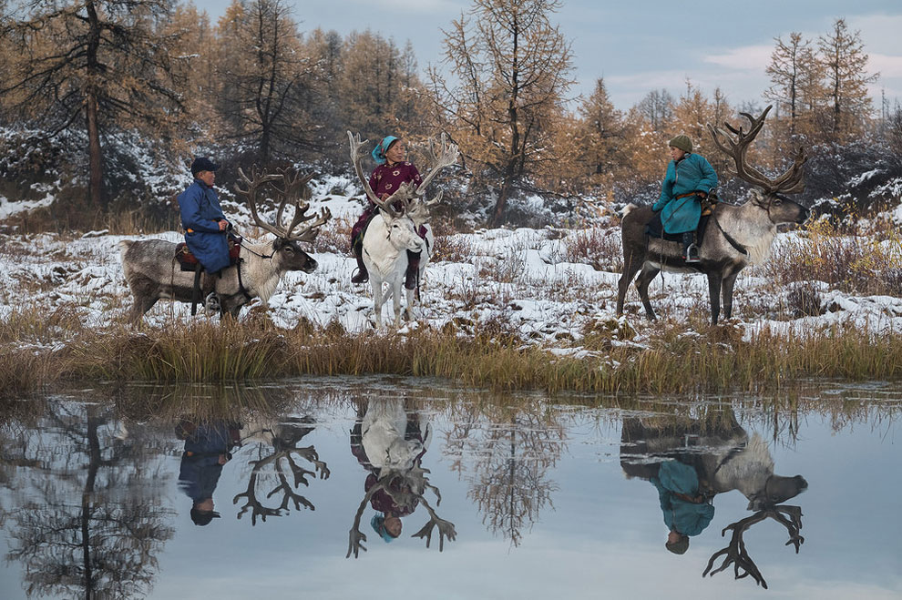 Фотография: Один день из жизни монгольской семьи оленеводов №5 - BigPicture.ru