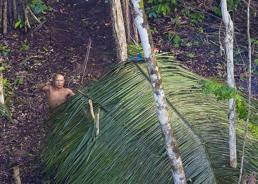 Фотография: Бразильскому фотографу удалось подобраться как никогда близко к абсолютно дикому племени в лесах Амазонии №6 - BigPicture.ru