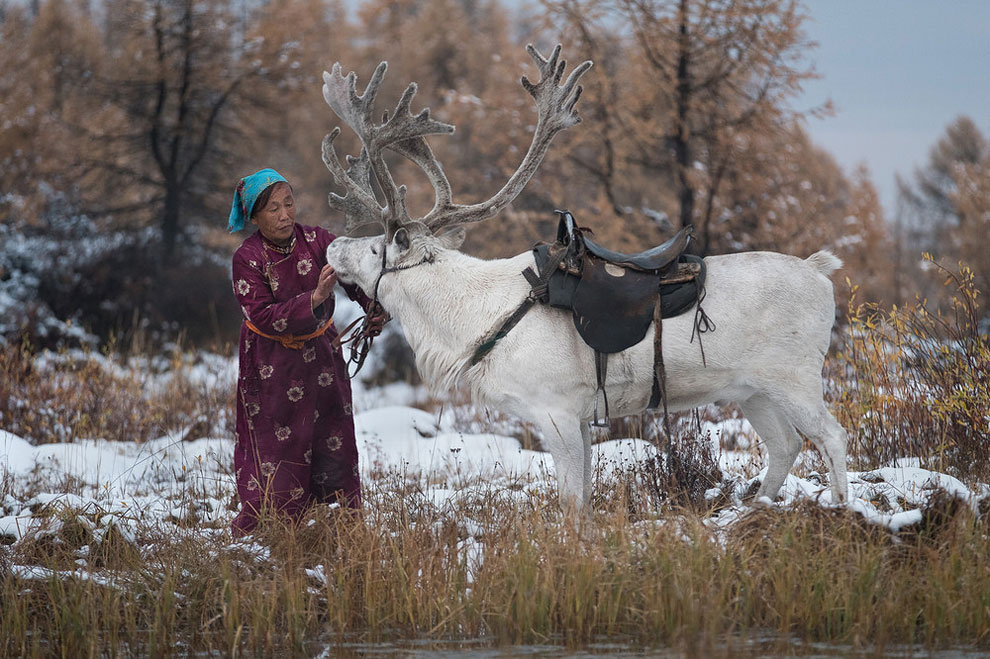 Фотография: Один день из жизни монгольской семьи оленеводов №6 - BigPicture.ru