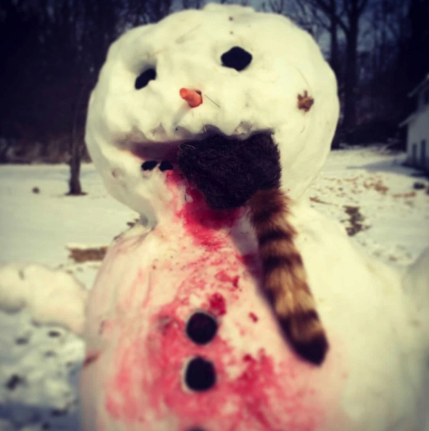 Фотография: Не все снеговики одинаково дружелюбны №7 - BigPicture.ru