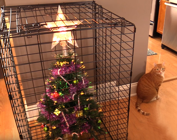 Фотография: Как защитить новогоднюю елку от вредных и дерзких домашних животных №8 - BigPicture.ru