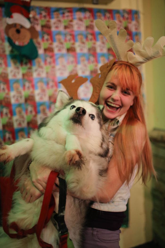 Фотография: Животные, которые терпеть не могут Рождество и Новый год №8 - BigPicture.ru
