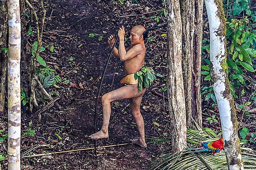 Фотография: Бразильскому фотографу удалось подобраться как никогда близко к абсолютно дикому племени в лесах Амазонии №1 - BigPicture.ru