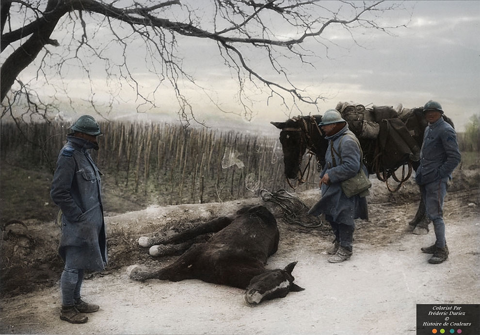 Фотография: Цветные снимки Первой мировой войны, которые сделаны как будто вчера №10 - BigPicture.ru