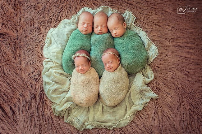 Фотография: В одесской семье появилось сразу пятеро малышей №3 - BigPicture.ru