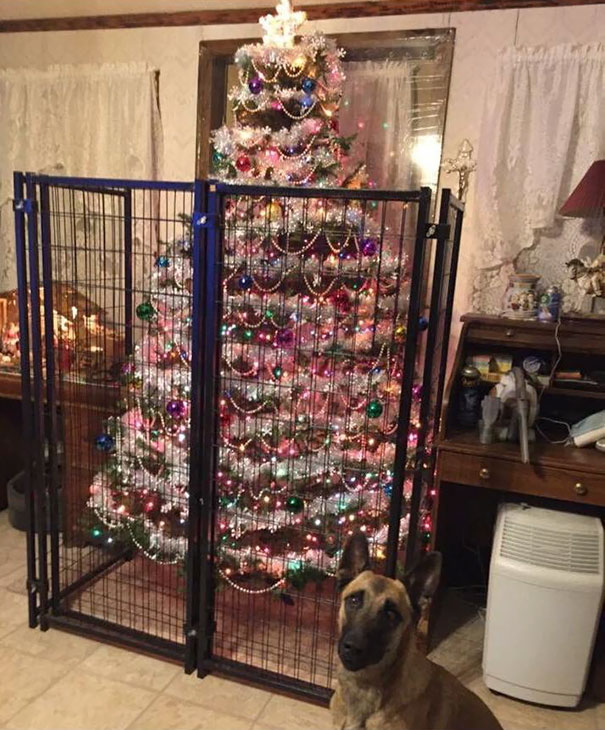 Фотография: Как защитить новогоднюю елку от вредных и дерзких домашних животных №10 - BigPicture.ru