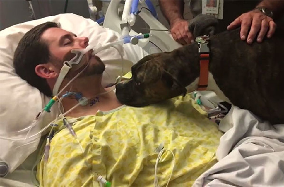 Фотография: Собаке разрешили прийти в больницу сказать умирающему хозяину последнее 