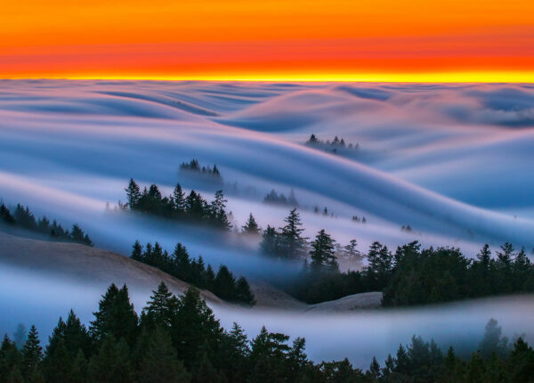 Нереально красивые фотографии волн… тумана