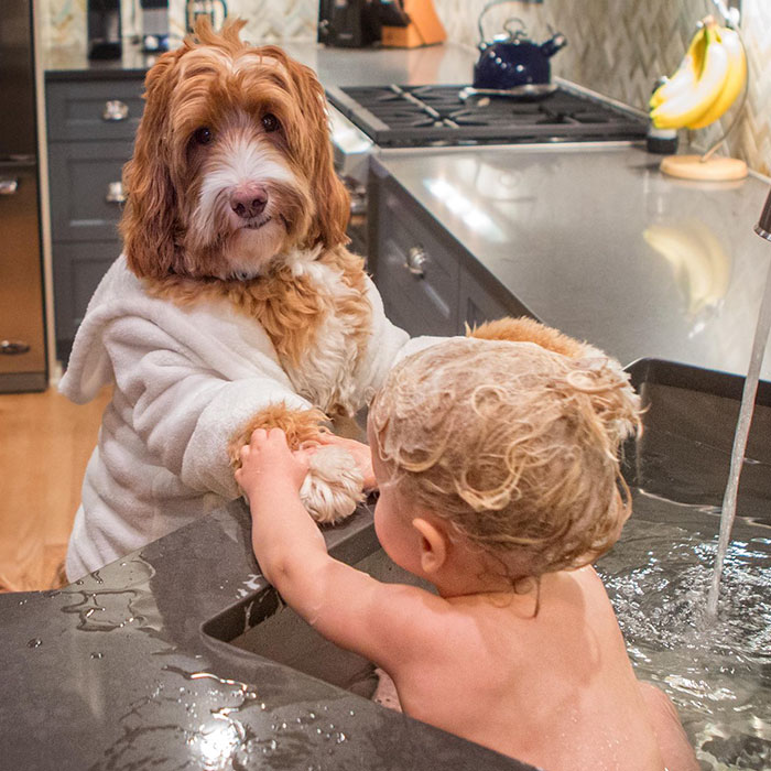 Фотография: Собака — лучший друг человека. Мальчик и щенок не расстаются даже во сне №4 - BigPicture.ru