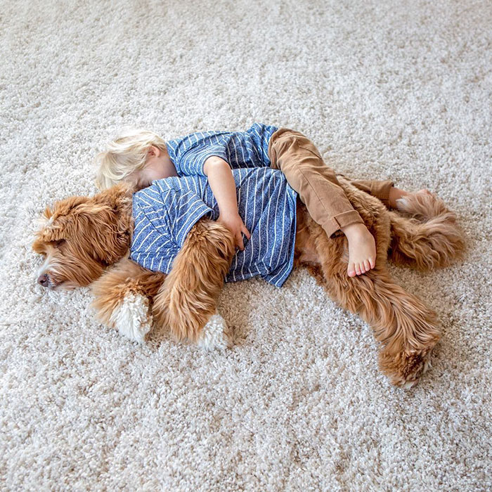 Фотография: Собака — лучший друг человека. Мальчик и щенок не расстаются даже во сне №5 - BigPicture.ru