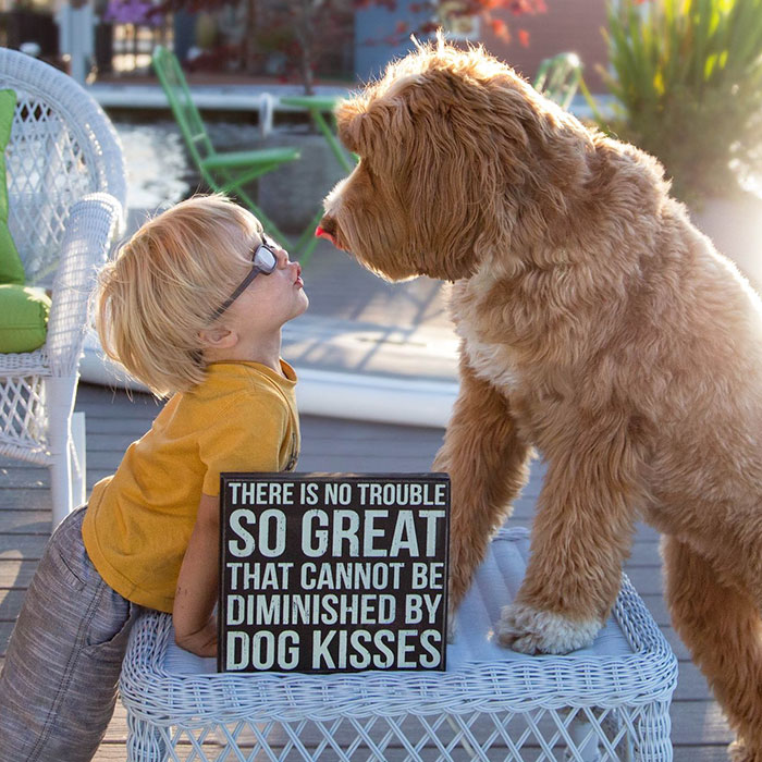 Фотография: Собака — лучший друг человека. Мальчик и щенок не расстаются даже во сне №6 - BigPicture.ru