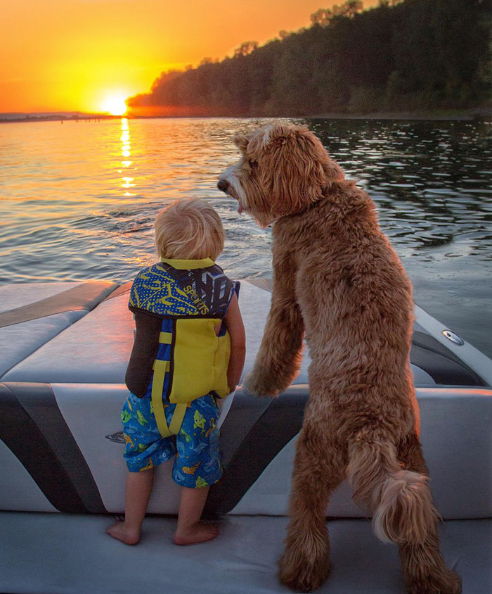 Фотография: Собака — лучший друг человека. Мальчик и щенок не расстаются даже во сне №9 - BigPicture.ru