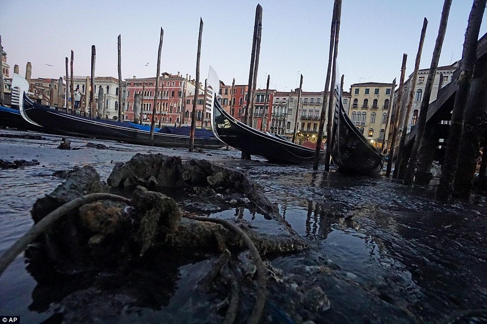 Фотография: Куда делась вода из каналов в Венеции №11 - BigPicture.ru