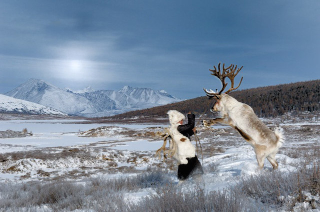 Фотография: Как живет вымирающее племя оленеводов из Монголии №7 - BigPicture.ru