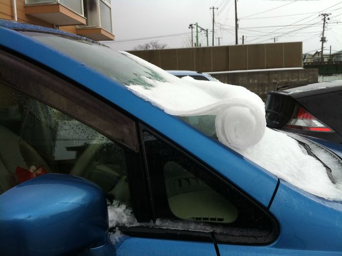 Как мороз превращает автомобили в предметы искусства