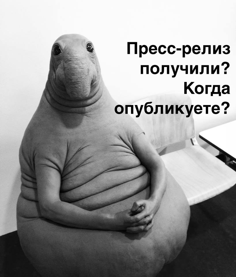 Фотография: Ждун — самый милый мем 2017 года №6 - BigPicture.ru