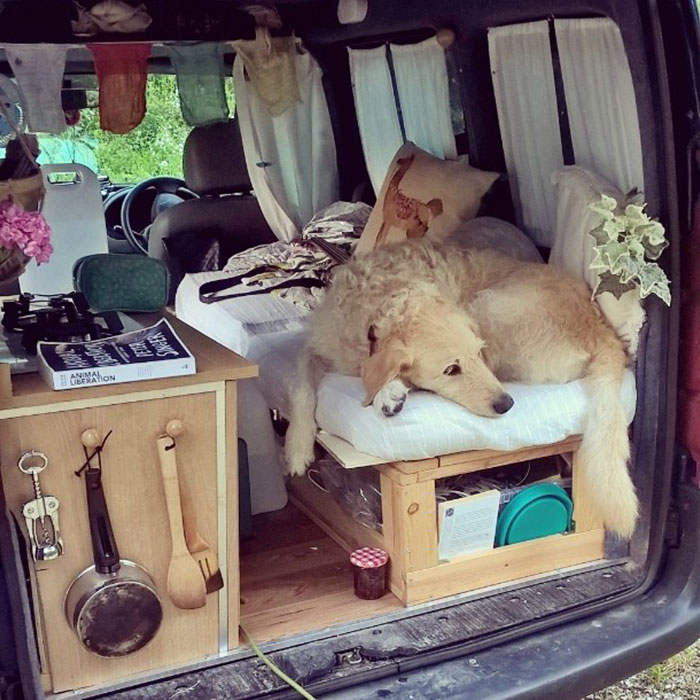 Фотография: Девушка переделала старый фургон в дом на колесах и путешествует по свету со своим псом №17 - BigPicture.ru