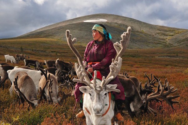 Фотография: Как живет вымирающее племя оленеводов из Монголии №10 - BigPicture.ru
