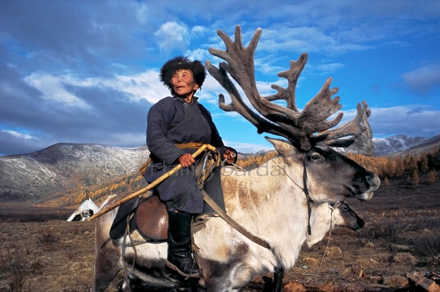 Фотография: Как живет вымирающее племя оленеводов из Монголии №3 - BigPicture.ru