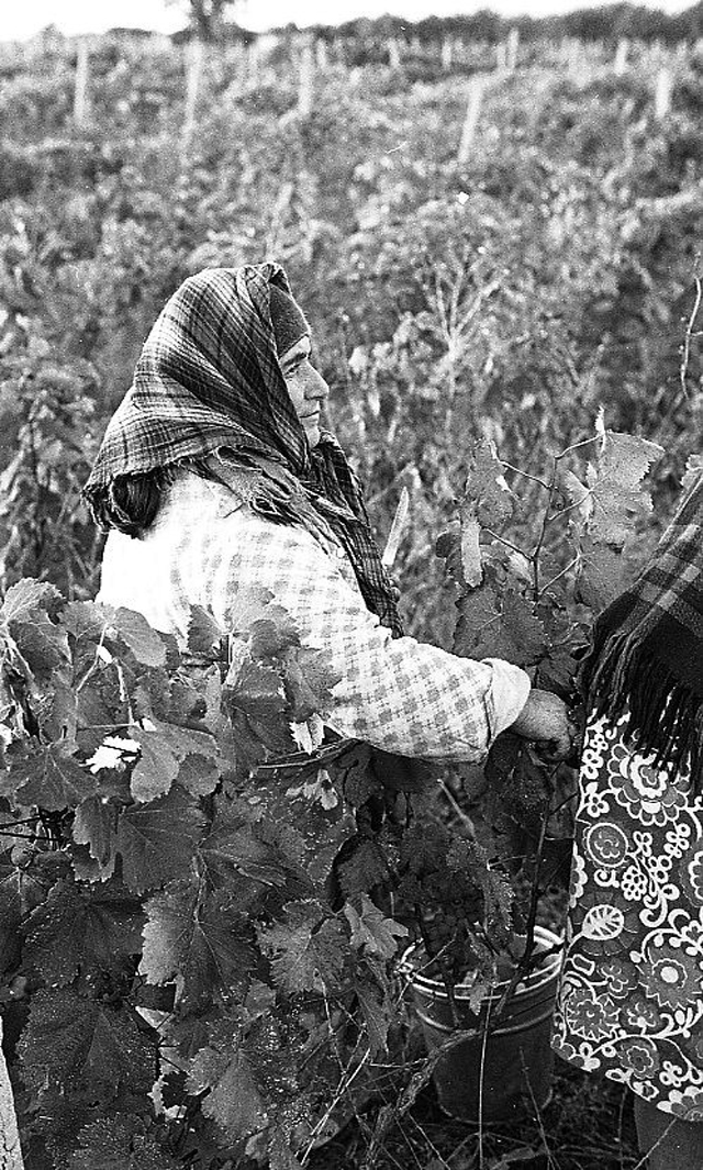 Фотография: Повседневная жизнь в советской Грузии 1976 года в фотографиях шведского фотографа №39 - BigPicture.ru