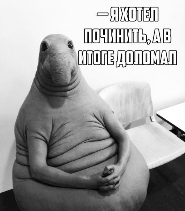 Фотография: Ждун — самый милый мем 2017 года №7 - BigPicture.ru