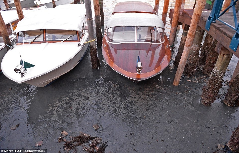 Фотография: Куда делась вода из каналов в Венеции №5 - BigPicture.ru