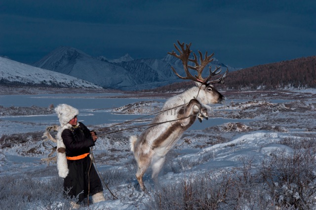 Фотография: Как живет вымирающее племя оленеводов из Монголии №1 - BigPicture.ru