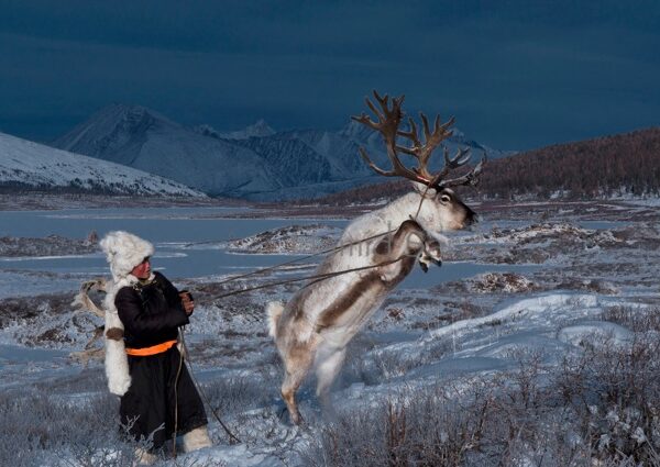 Как живет вымирающее племя оленеводов из Монголии