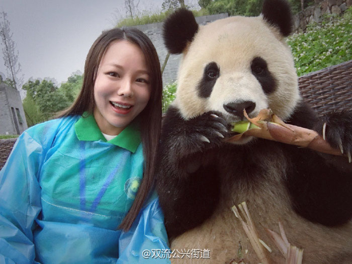 Фотография: Панда, которая обставит любого по части селфи №7 - BigPicture.ru