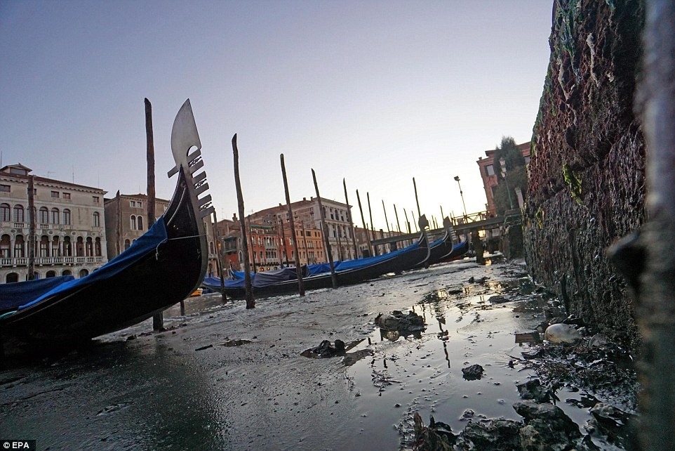 Фотография: Куда делась вода из каналов в Венеции №9 - BigPicture.ru